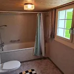 Tatil Evi Seuzach By Interhome *