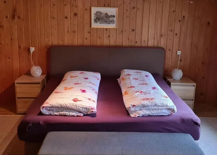 Seuzach By Interhome Holiday home *